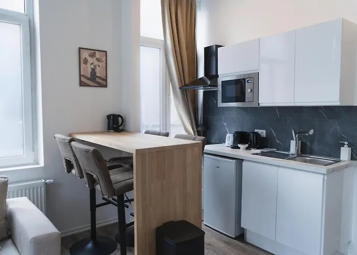 Lovely 1br & 1lr Apartment, Only 15 Min Walk To Center Apartment